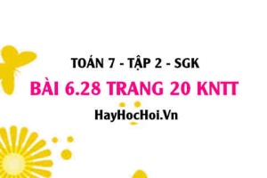 Bài 6.28 trang 20 Toán 7 Tập 2 Kết nối tri thức